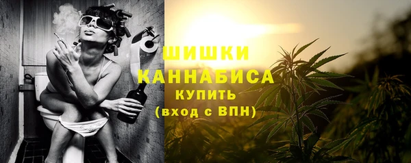 МДПВ Нея