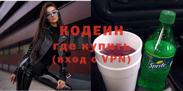 сатива Новозыбков
