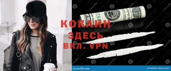 МДПВ Нея