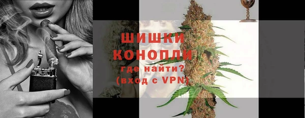МДПВ Нея