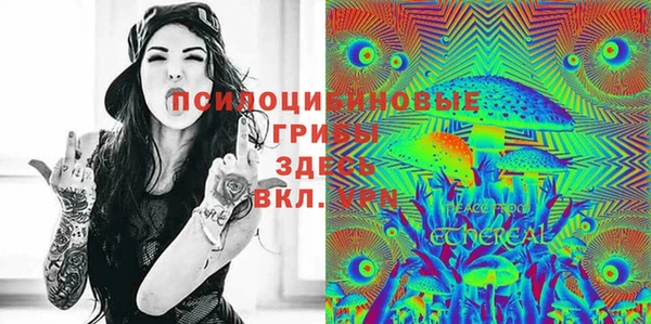 МДПВ Нея