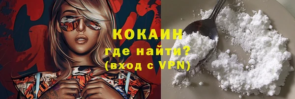 МДПВ Нея